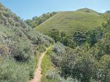 Sunol 005